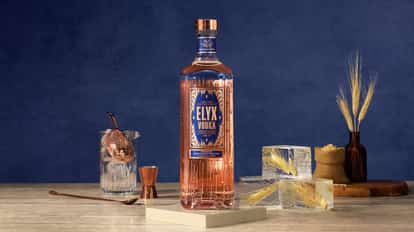 Absolut Elyx Assetanpassung 16 9 DNA9040 01
