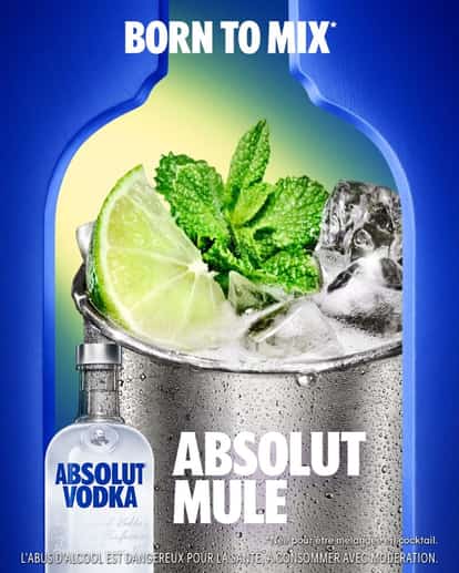 Absolut KV1 2