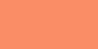 BANNIERE ABSOLUT PEACH