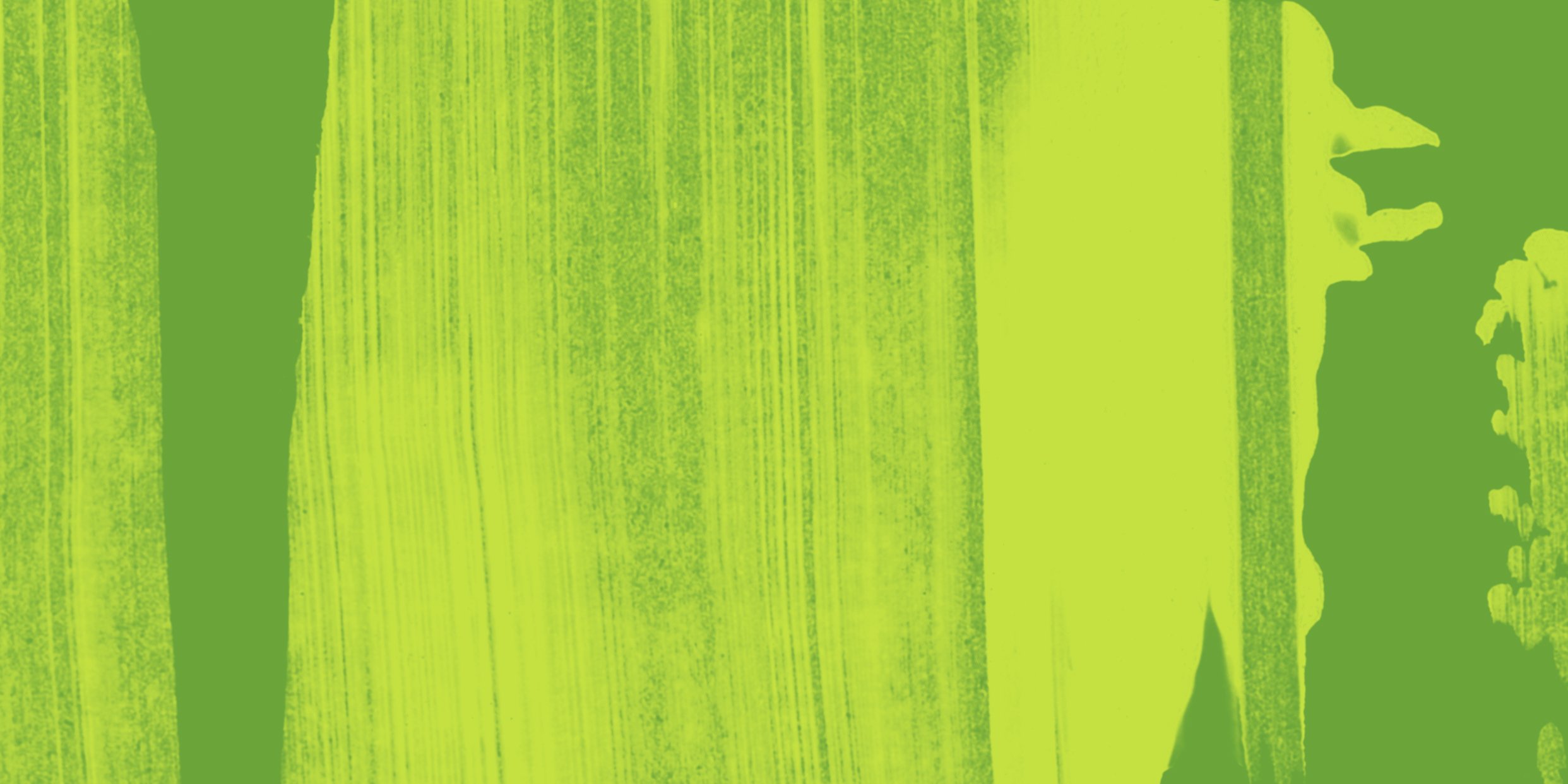 brush background absolut lime 16x8